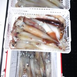 第二龍勢丸 釣果