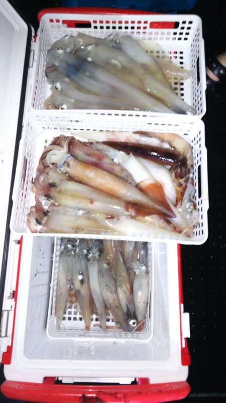 第二龍勢丸 釣果