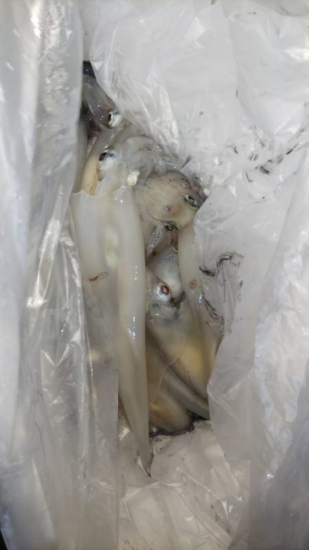 第二龍勢丸 釣果