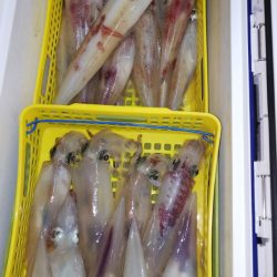 第二龍勢丸 釣果