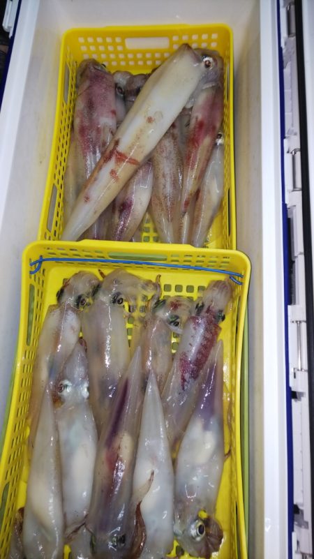 第二龍勢丸 釣果