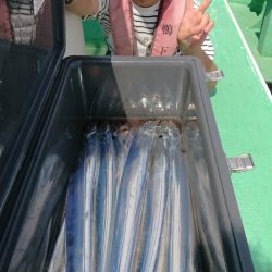 金沢八景鴨下丸 釣果