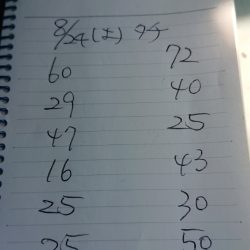 金沢八景鴨下丸 釣果