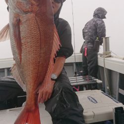 だて丸 釣果