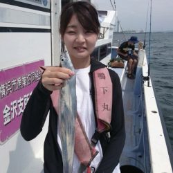 金沢八景鴨下丸 釣果