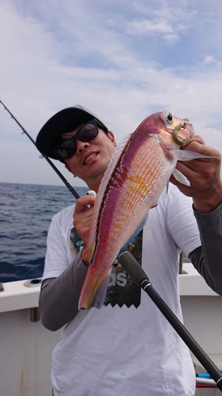 ARCADIAⅡ (アルカディアⅡ) 釣果