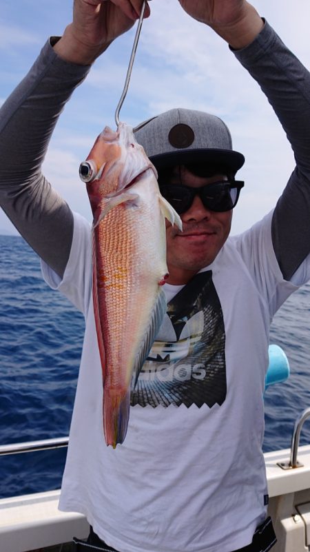 ARCADIAⅡ (アルカディアⅡ) 釣果