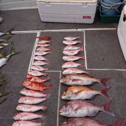 ARCADIAⅡ (アルカディアⅡ) 釣果