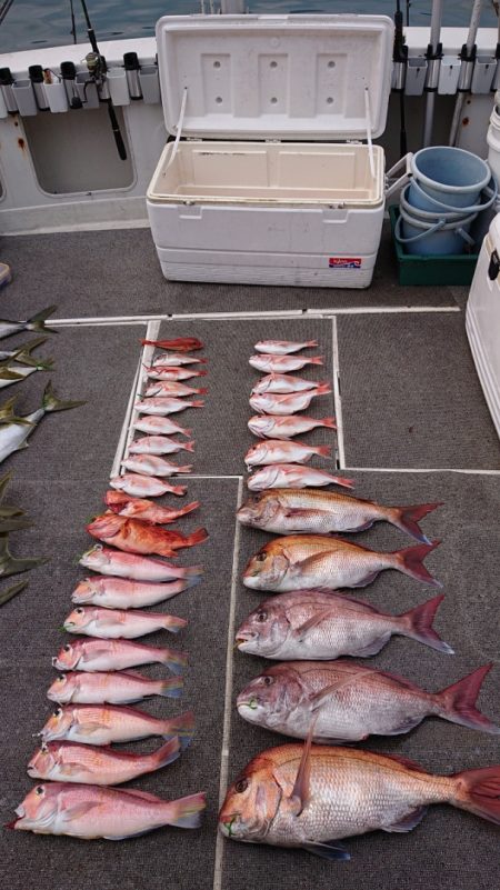 ARCADIAⅡ (アルカディアⅡ) 釣果