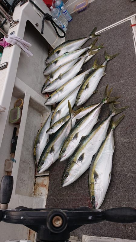 ARCADIAⅡ (アルカディアⅡ) 釣果