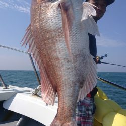 だて丸 釣果