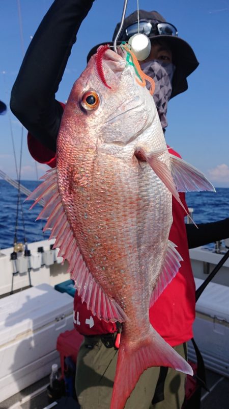 ARCADIAⅡ (アルカディアⅡ) 釣果