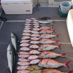 ARCADIAⅡ (アルカディアⅡ) 釣果