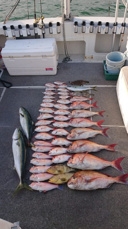 ARCADIAⅡ (アルカディアⅡ) 釣果