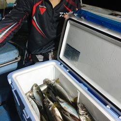 シースナイパー海龍 釣果