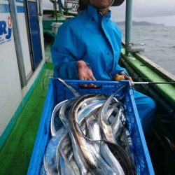 小島丸 釣果