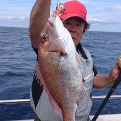 ARCADIAⅡ (アルカディアⅡ) 釣果