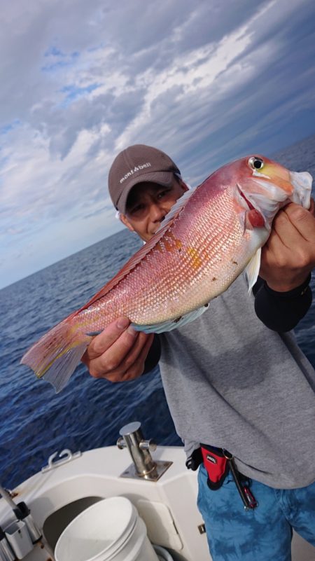 ARCADIAⅡ (アルカディアⅡ) 釣果