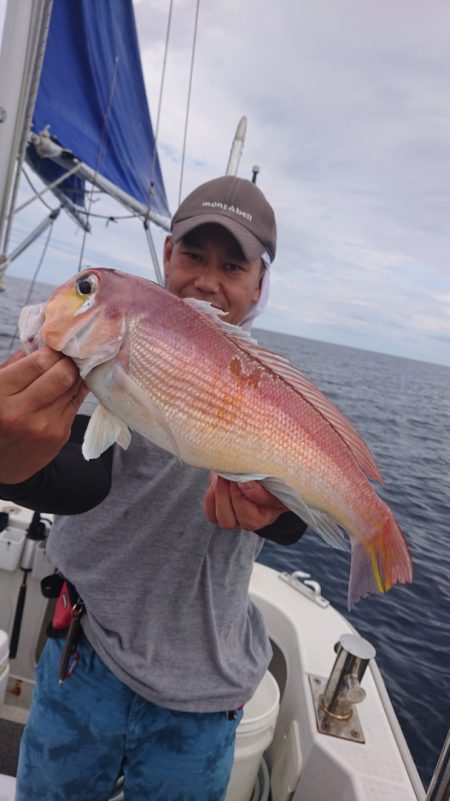 ARCADIAⅡ (アルカディアⅡ) 釣果