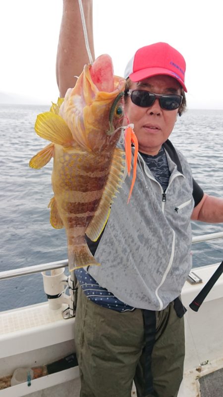 ARCADIAⅡ (アルカディアⅡ) 釣果