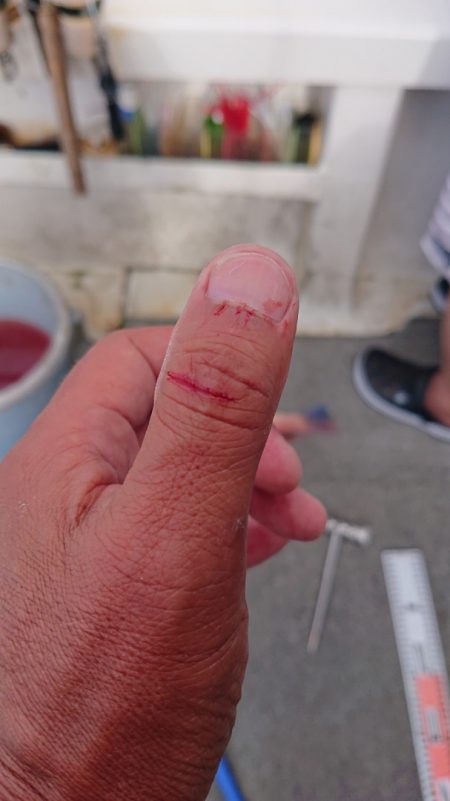 ARCADIAⅡ (アルカディアⅡ) 釣果