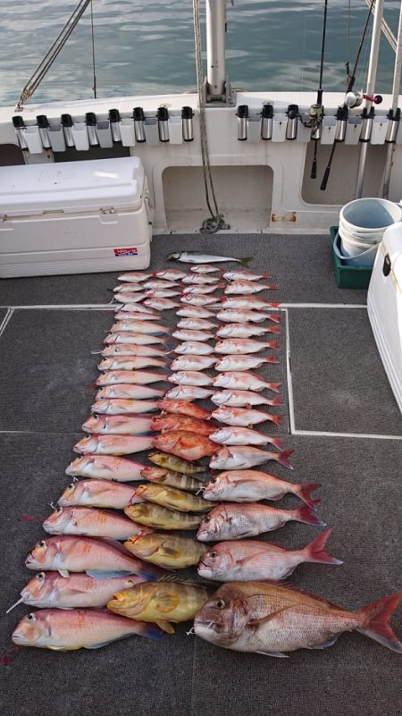 ARCADIAⅡ (アルカディアⅡ) 釣果