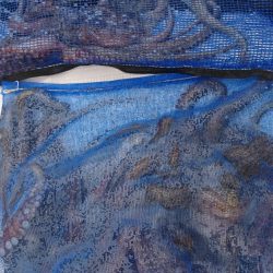 遊漁船 家入 釣果