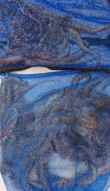 遊漁船 家入 釣果