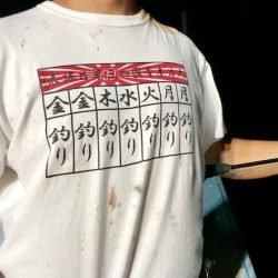 South Current 釣果