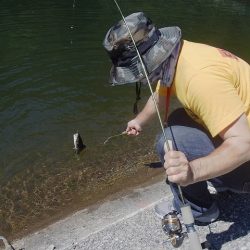 平谷湖フィッシングスポット 釣果