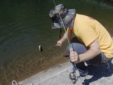 平谷湖フィッシングスポット 釣果