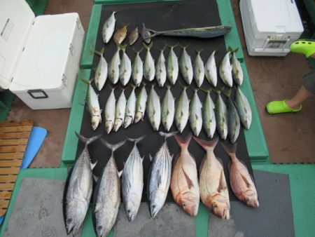 真祐丸 (しんゆうまる) 釣果