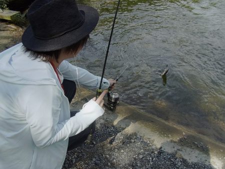 平谷湖フィッシングスポット 釣果