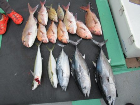 真祐丸 （しんゆうまる） 釣果