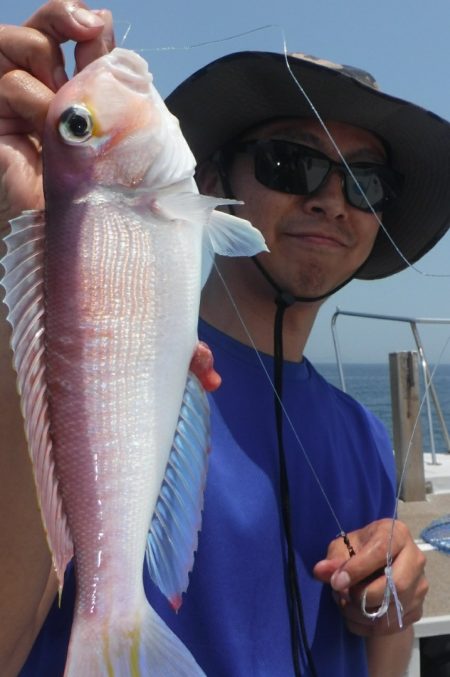 ブルースフィッシングサービス 釣果