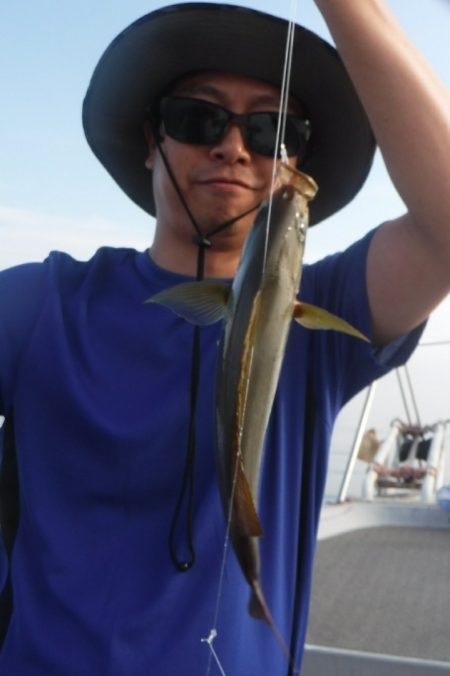 ブルースフィッシングサービス 釣果