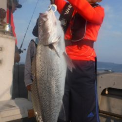 ブルースフィッシングサービス 釣果