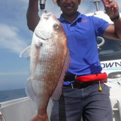 ブルースフィッシングサービス 釣果