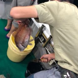 「LaGooN」蒼陽丸 日和号 釣果