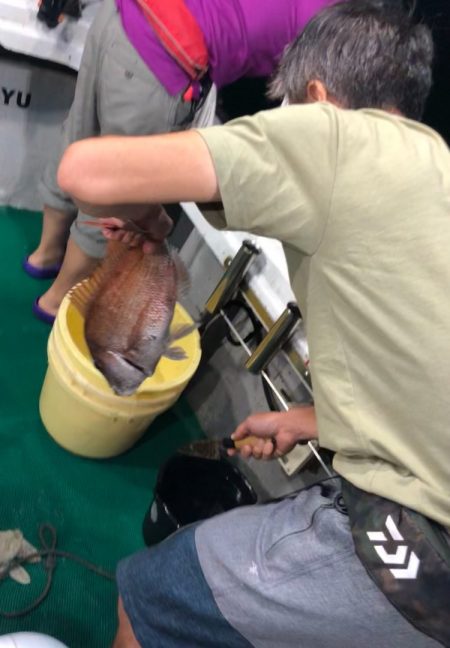 「LaGooN」蒼陽丸 日和号 釣果