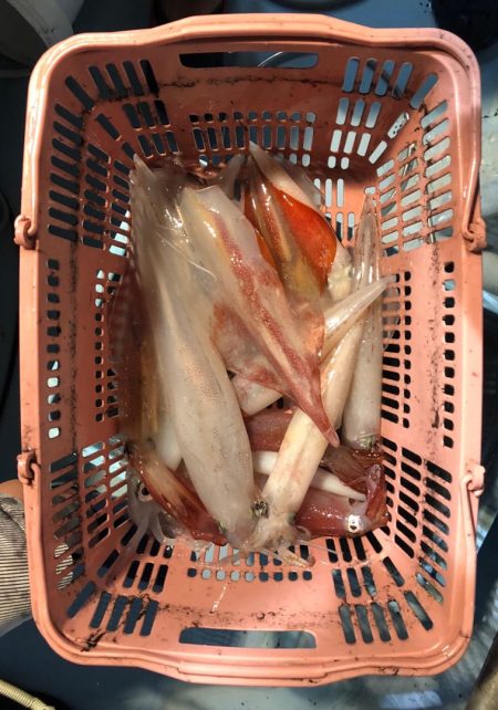 第二八坂丸 釣果