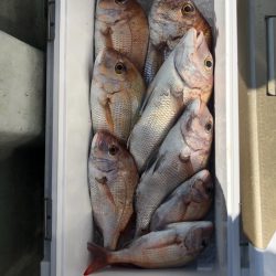 フィッシング　キッタカ 釣果