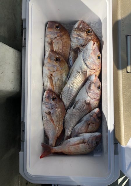 フィッシング　キッタカ 釣果