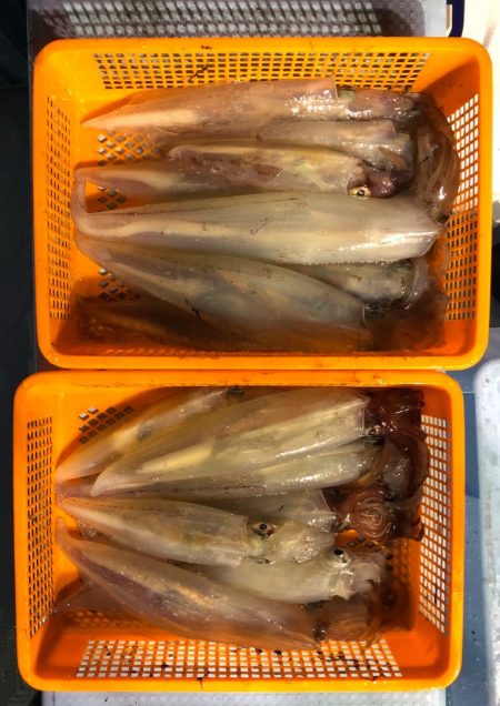 第二八坂丸 釣果