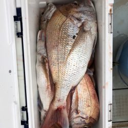 フィッシング キッタカ 釣果