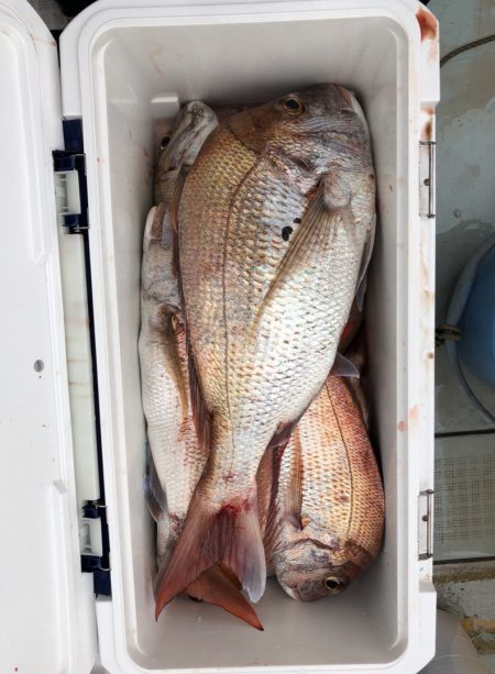 フィッシング キッタカ 釣果