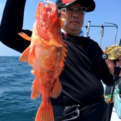 渡船屋たにぐち 釣果