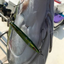 Monster Rush! 釣果