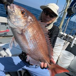 エヌスタイル 釣果