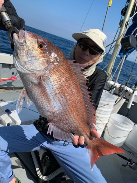 エヌスタイル 釣果